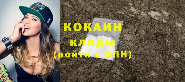 эйфоретик Богданович