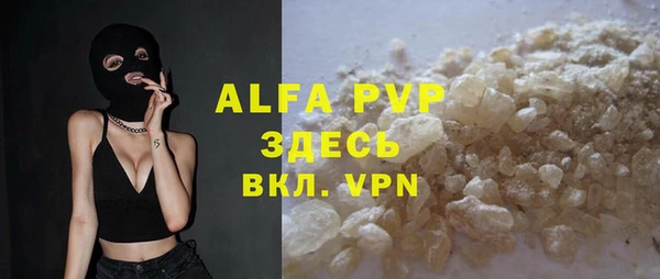 эйфоретик Богданович