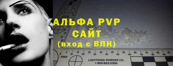 эйфоретик Богданович