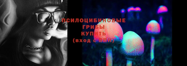 прущие крисы Богородск