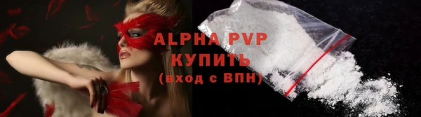 эйфоретик Богданович