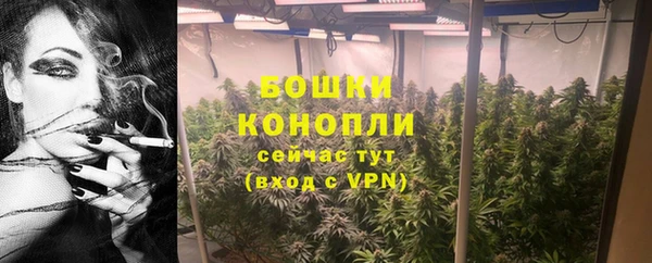 эйфоретик Богданович
