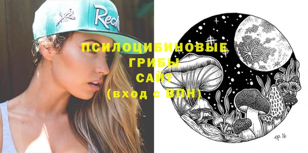 2c-b Богородицк