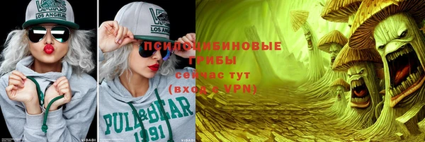 2c-b Богородицк
