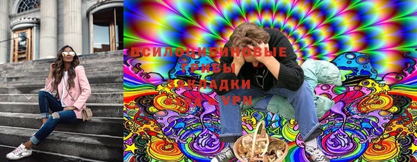 прущие крисы Богородск