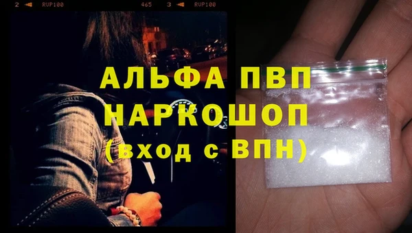эйфоретик Богданович