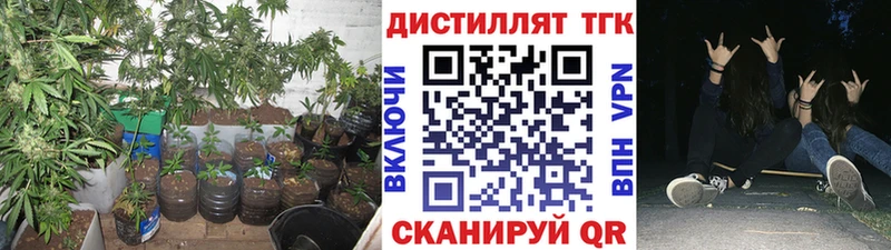 Дистиллят ТГК Wax  Купить закладки  Волгореченск 