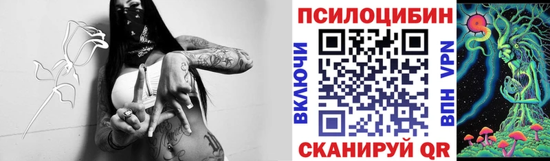 Купить где  Волгореченск  Галлюциногенные грибы Psilocybe 
